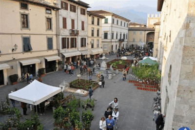 Camaiore