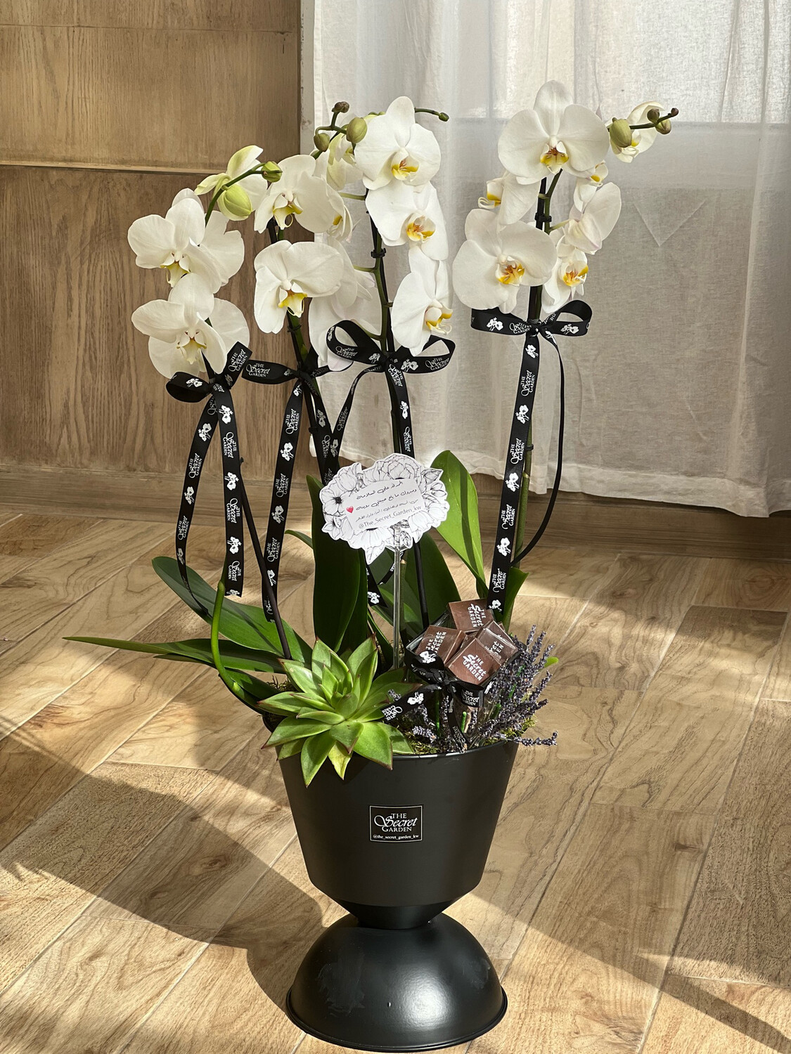 Flower With Chocolate 