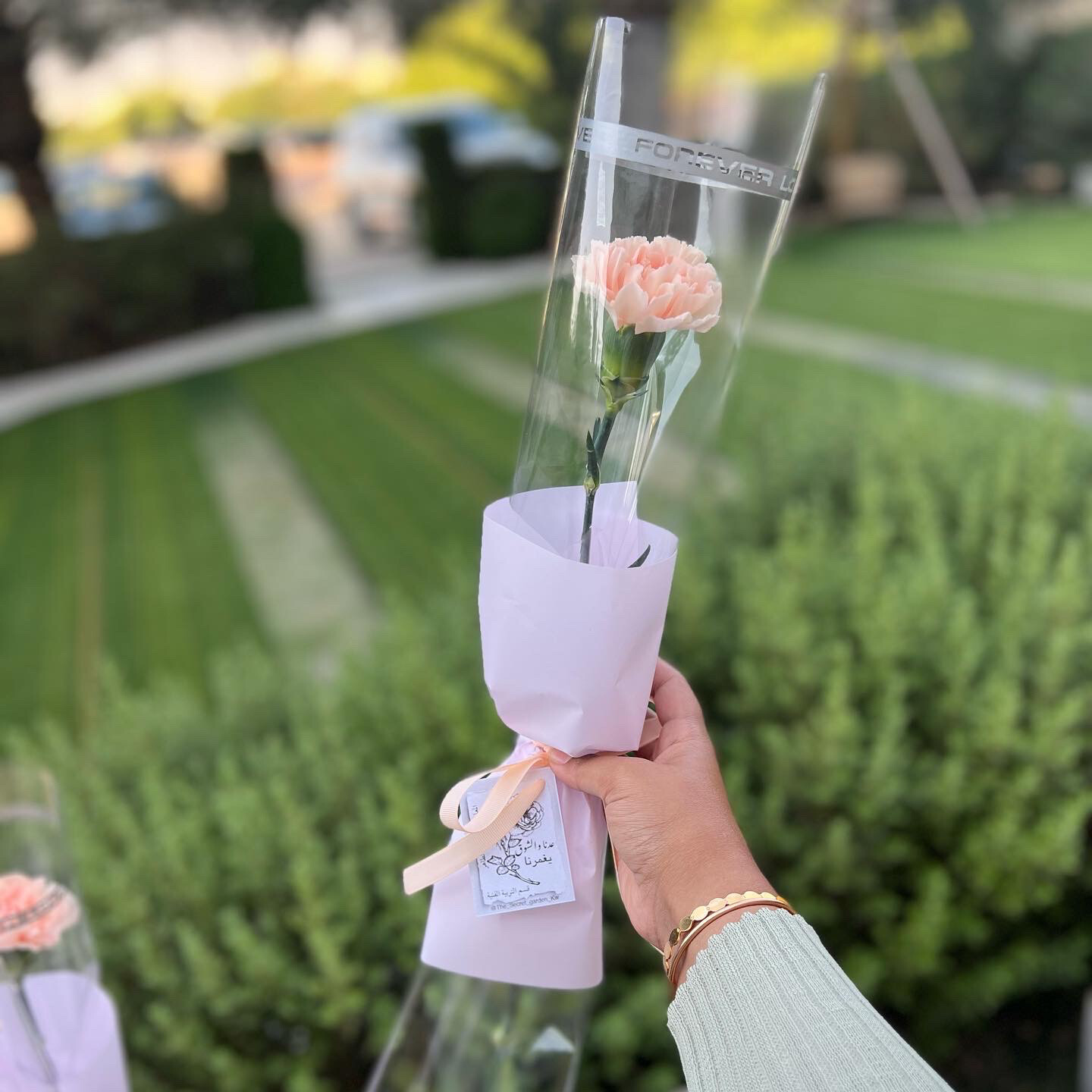 carnation Bouquet 🌹