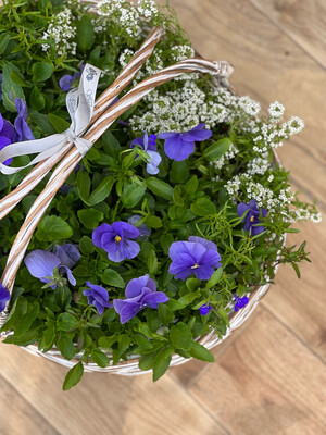 Big Basket 🧺 
