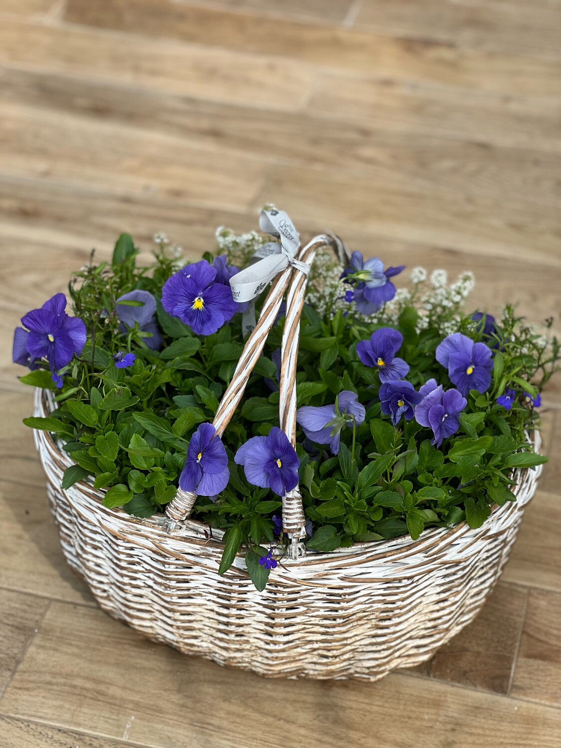 Big Basket 🧺 