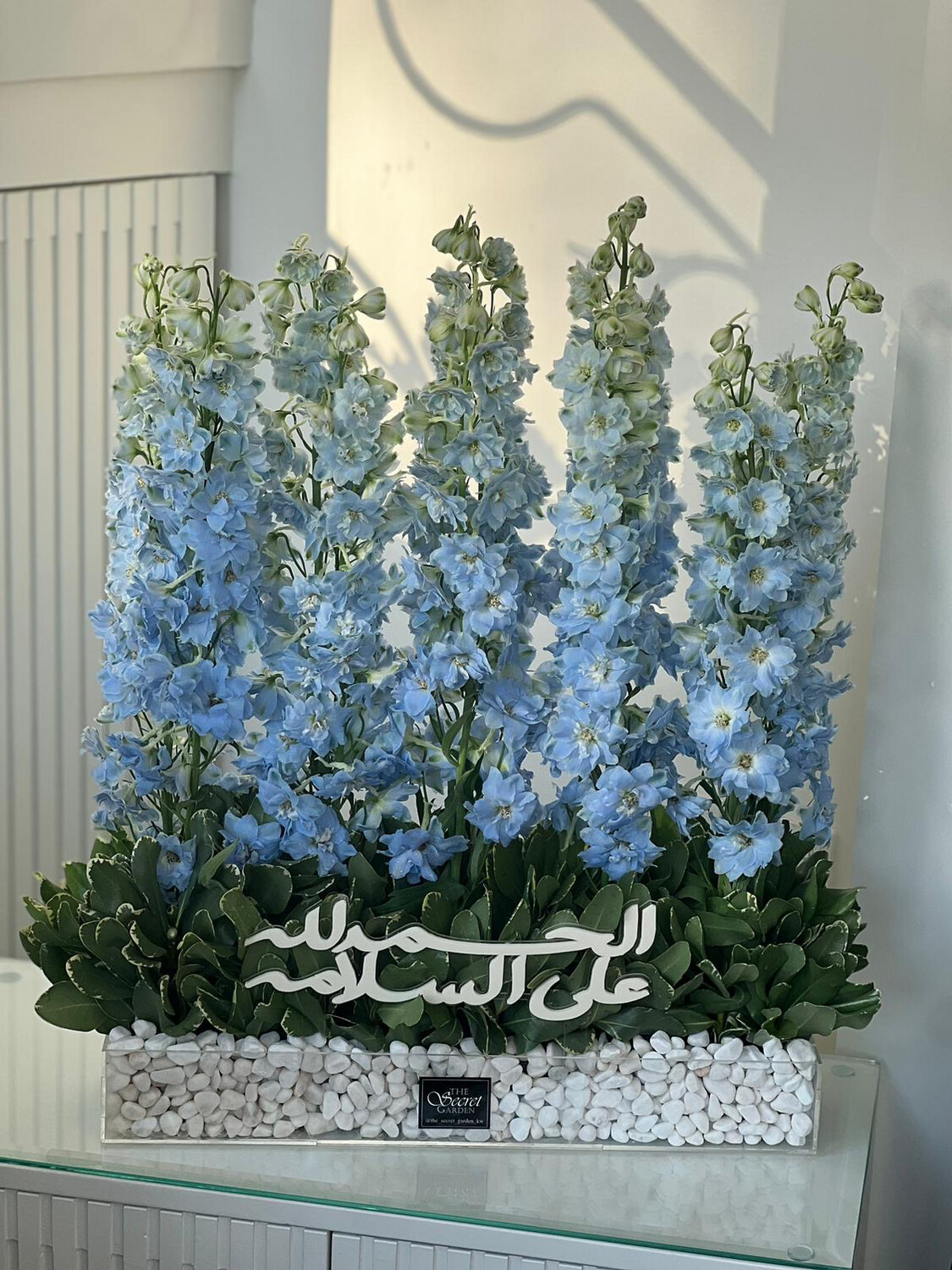 Blue delphinium with stone