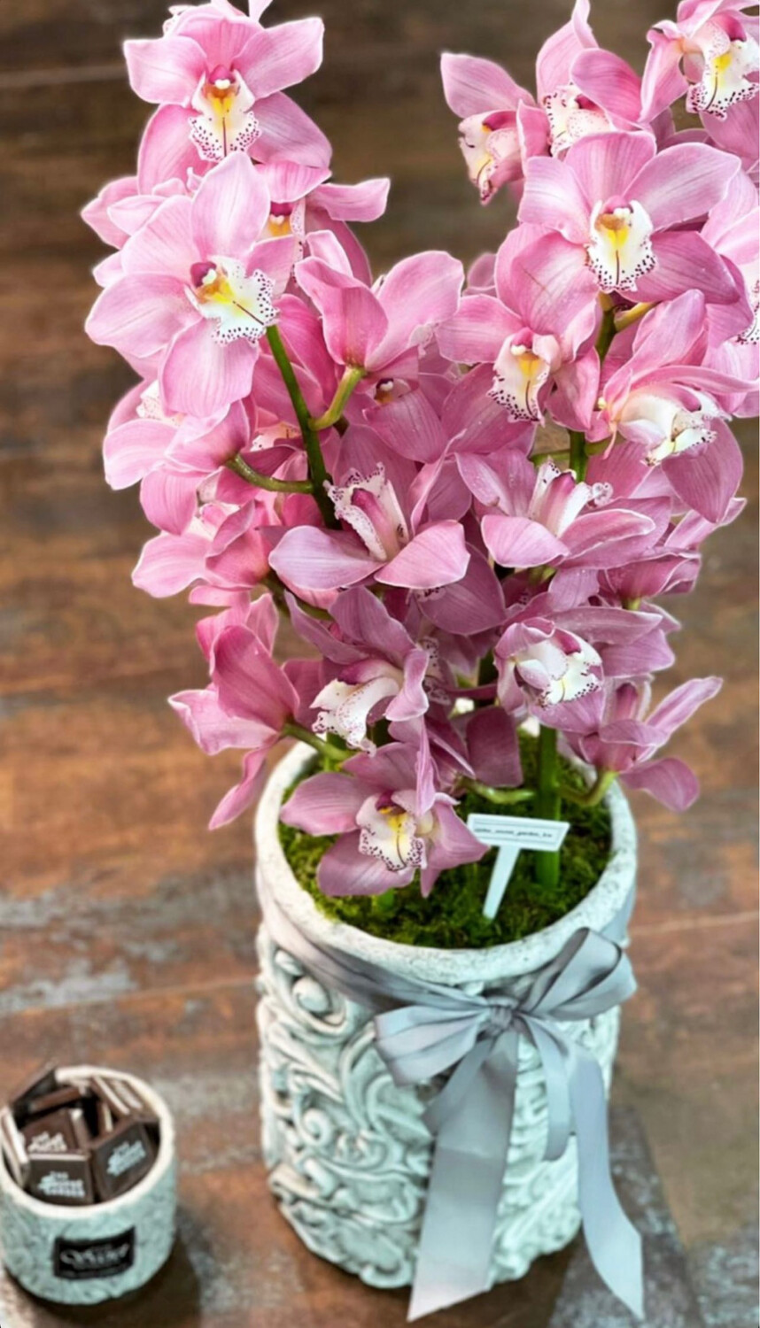 Chocolate With big vase
