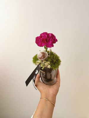 توزيعات 