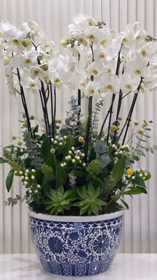 Blue vase