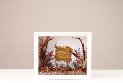 White Frame 