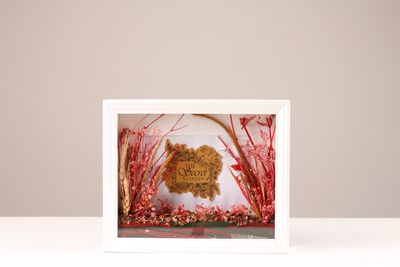White Frame 