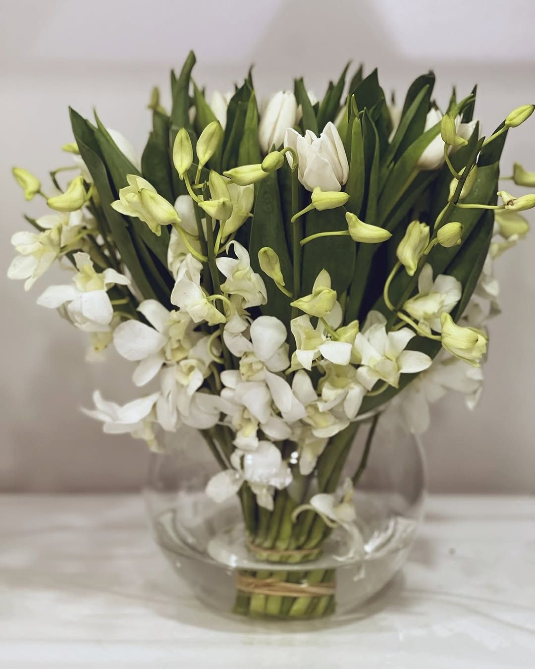 Tulip vase