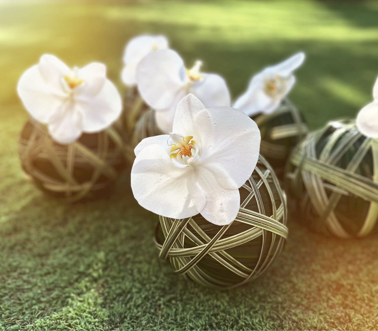 3 Orchid ball 