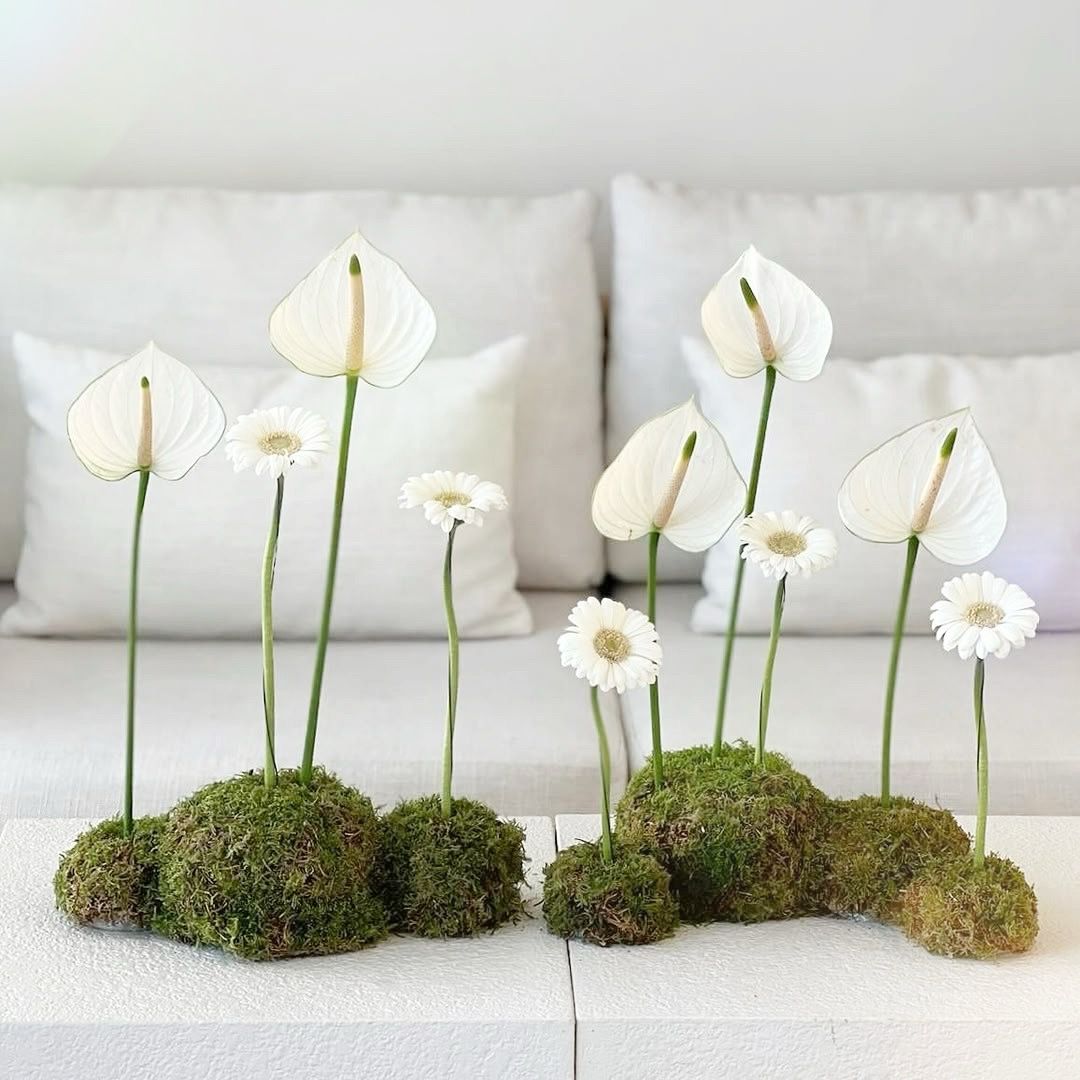 Flower flat moss ball