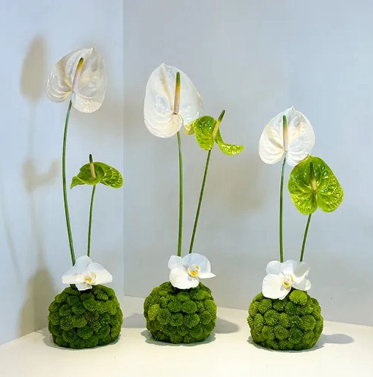 Flower flat moss ball