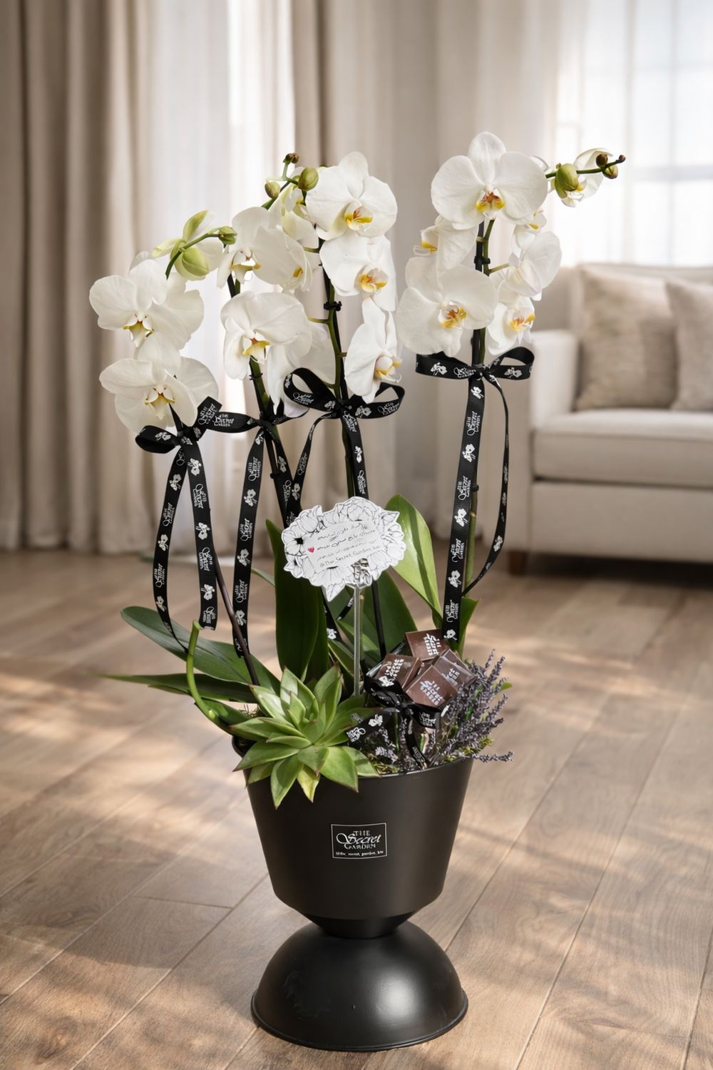 Flower With Chocolate 