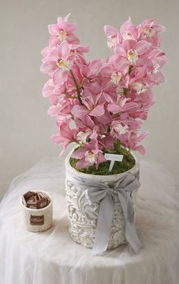 Chocolate With big vase