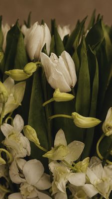 Tulip vase