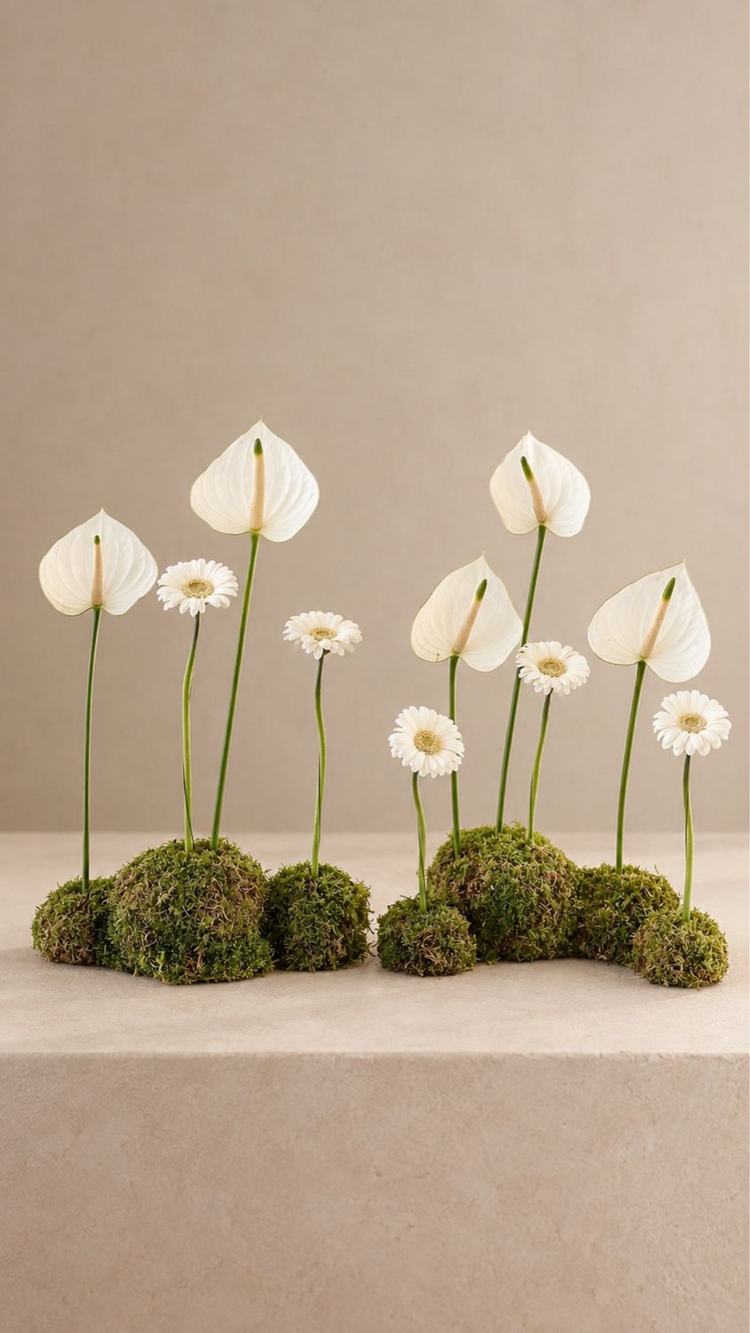 Flower flat moss ball