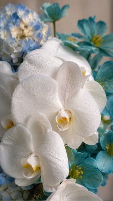 Blue vase