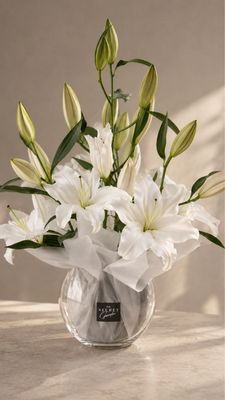 Lily’s