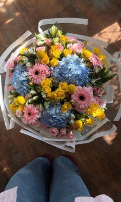 Sunny Bloom | ساني بلوم