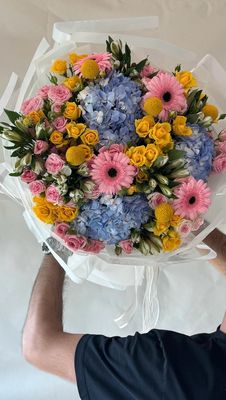 Sunny Bloom | ساني بلوم