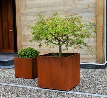 Steel Cube Planter