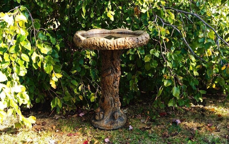 WOODLAND BIRDBATH