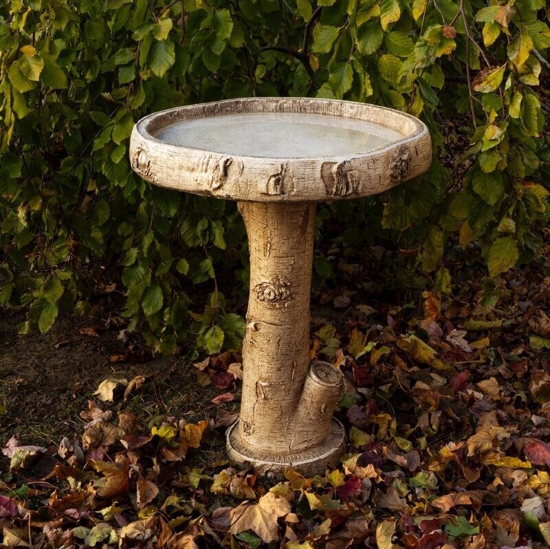 BIRCH BIRDBATH