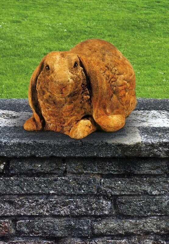 LARGE LOP-EARED RABBIT