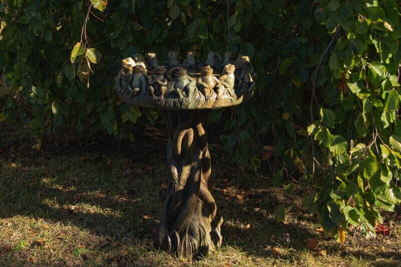 RING OF FROGS BIRDBATH