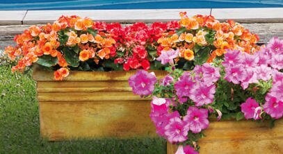 Large Planter Box
