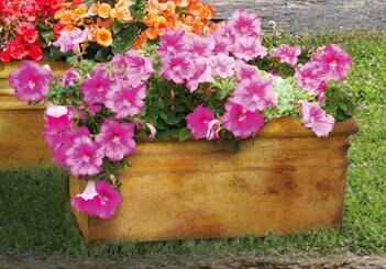 Medium Planter Box