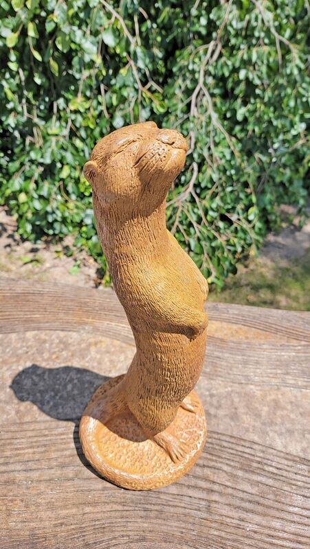 Otter with Attitude