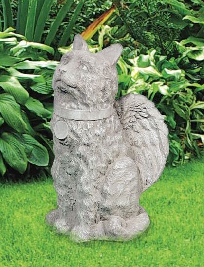 Angelic Cat