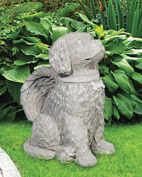 Angelic Dog