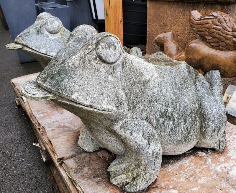 Money Frog