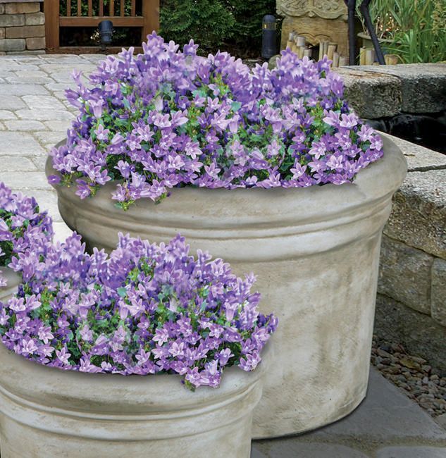 LARGE ROLLED RIM PLANTER