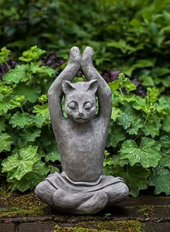 Yoga Cat