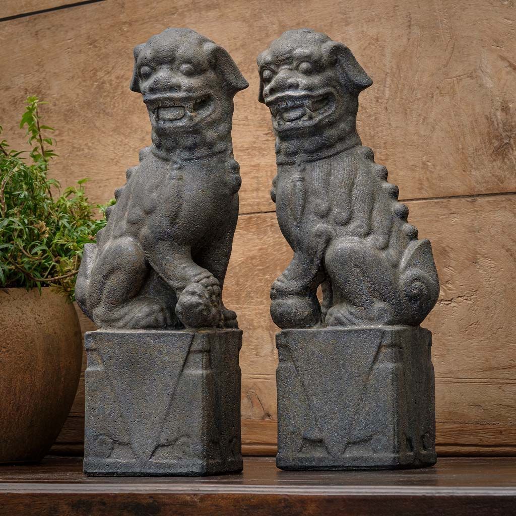 Nara Foo Dogs, Set