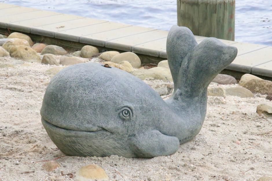 20" Happy The Whale - Plumbed