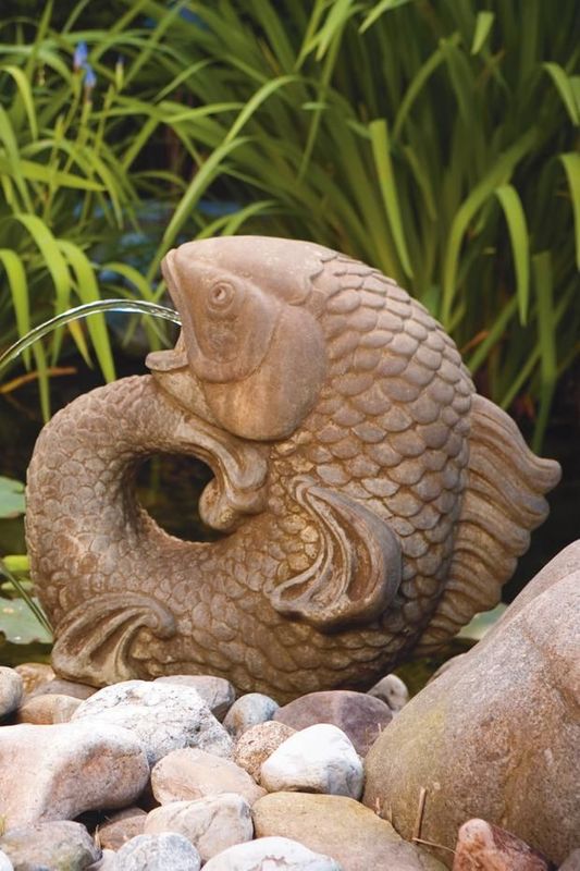 Curling Carp - Plumbed