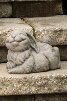 Rabbits