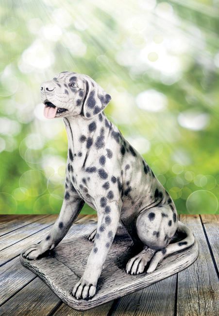 Dalmatian