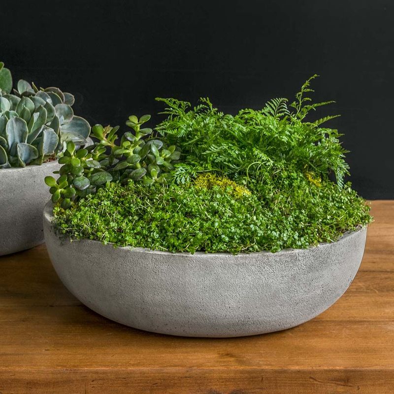 Terrace Bowl - Medium