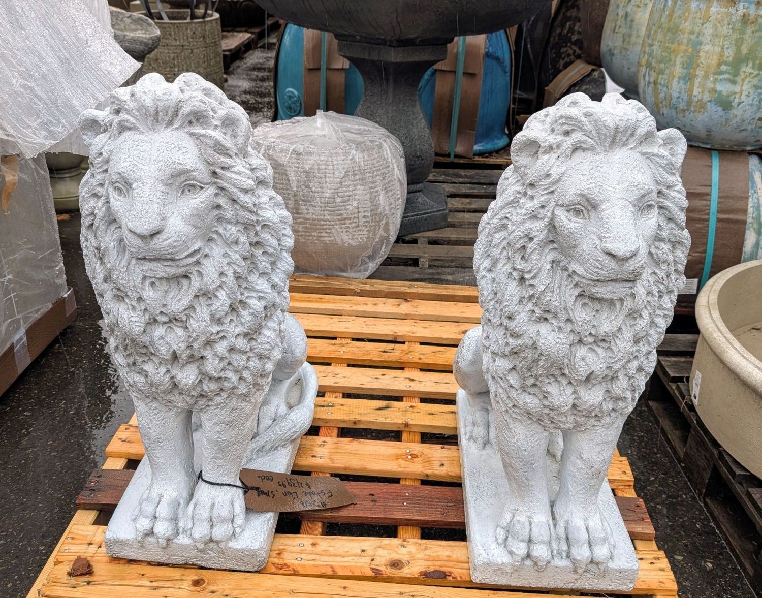 Estate Lion, Small