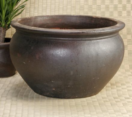 Cabbage Planter