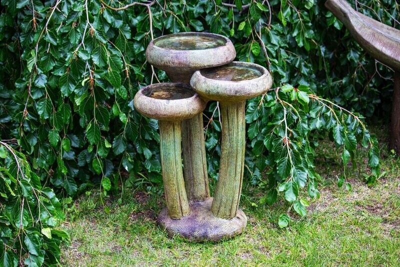 WATER LILIES BIRDBATH WATER LILIES BIRDBATH