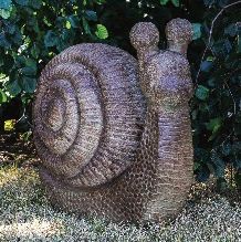 Garden Snail Garden Snail