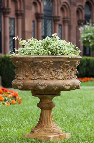 Smithsonian Morning Glory Urn