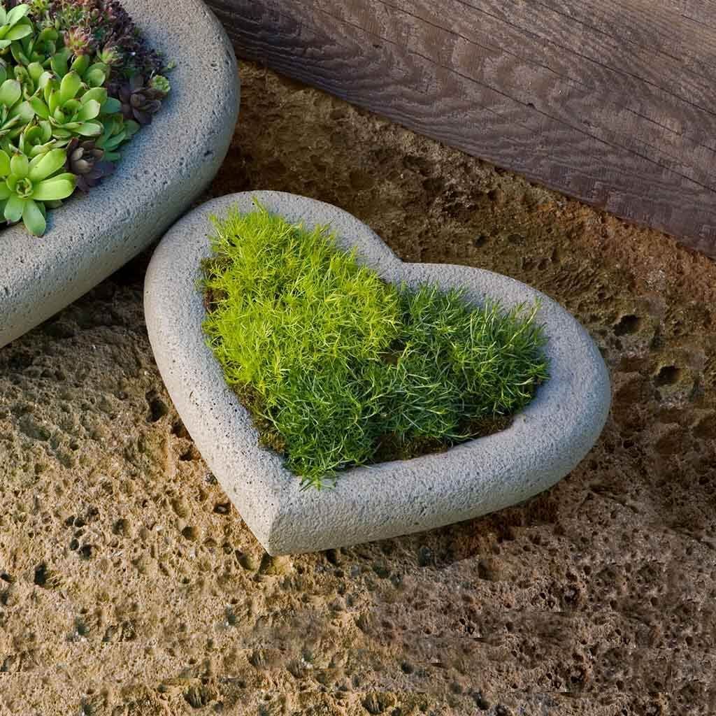 Heart Planter - Small Heart Planter - Small