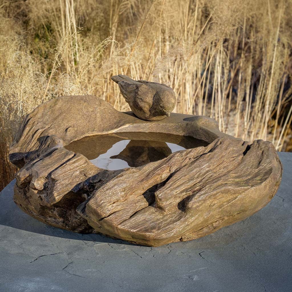Driftwood Perch