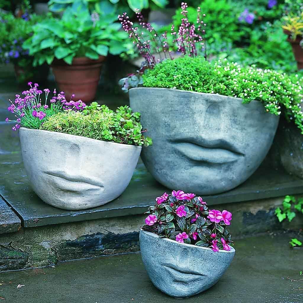 Faccia Planter